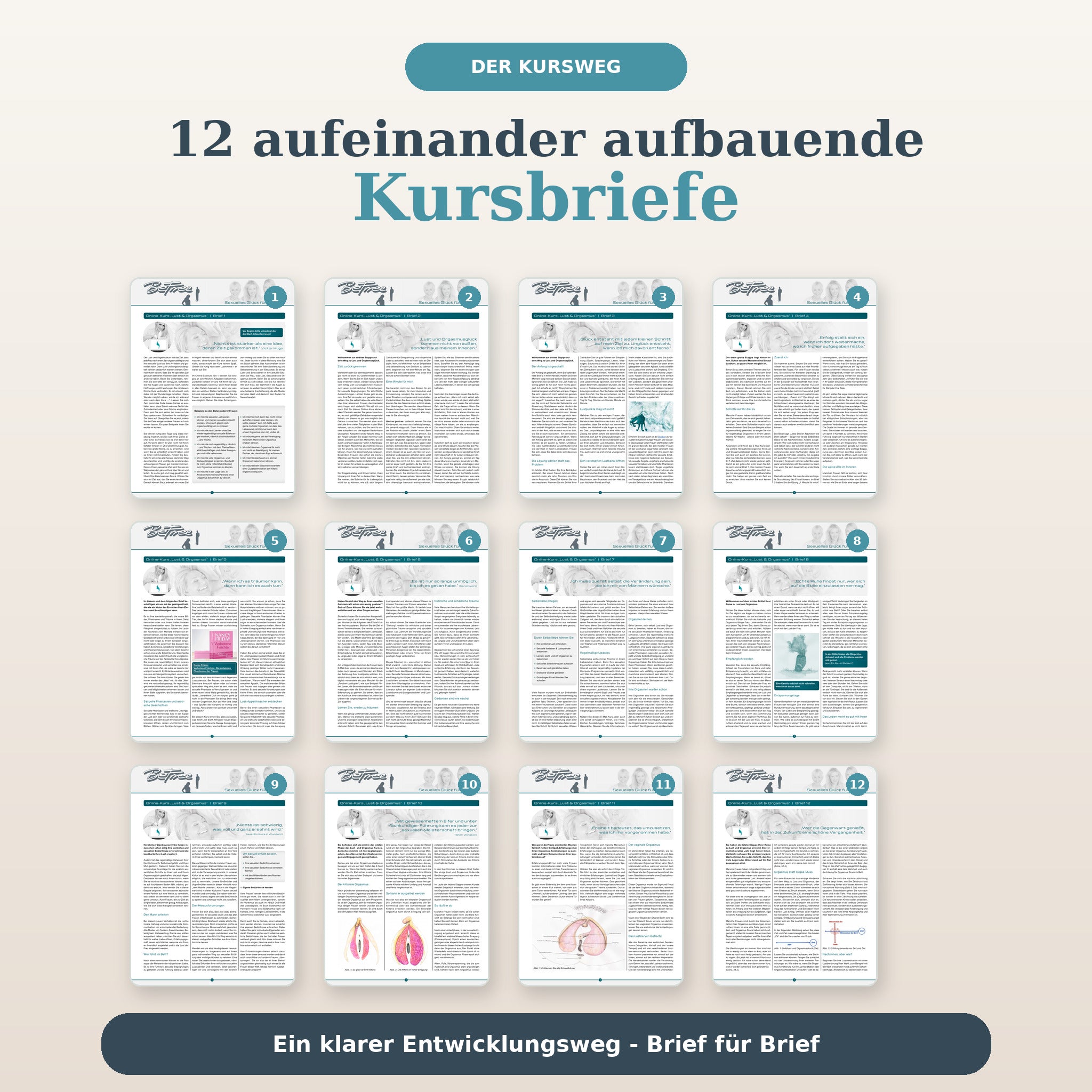 Zwölf aufeinander aufbauende Kursbriefe im BeFree Lust- und Orgasmuskurs