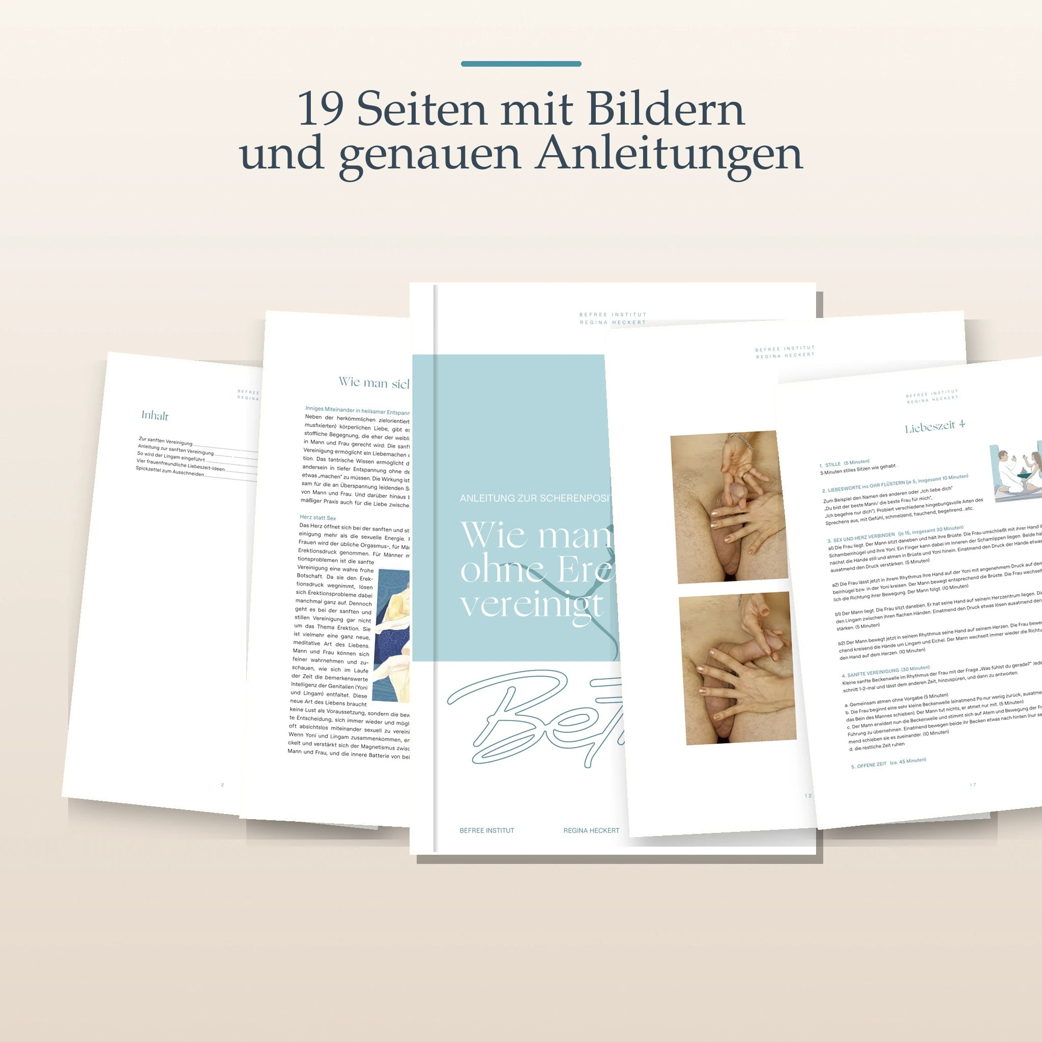Vorschau auf 19 Seiten der PDF-Anleitung mit Bildern und genauen Erklärungen.